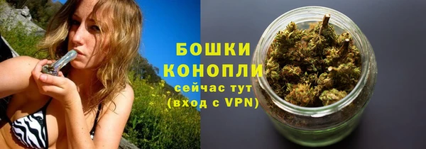 сатива Кукмор