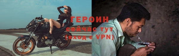сатива Кукмор