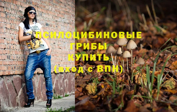 бошки Куйбышев