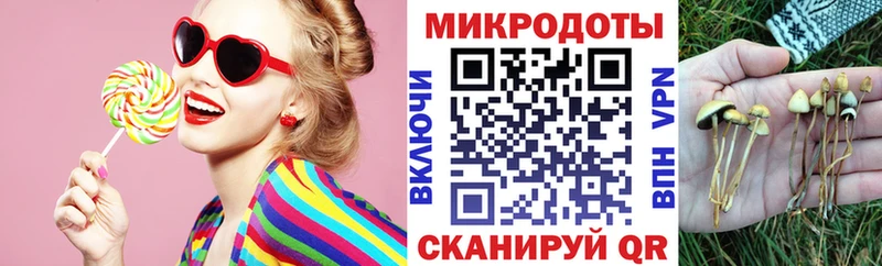 дарк нет наркотические препараты  Лаишево  Псилоцибиновые грибы Psilocybine cubensis  купить наркоту 